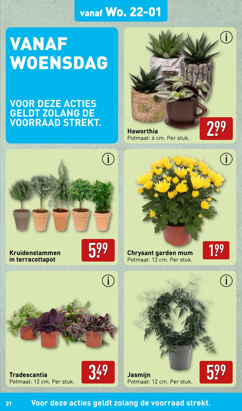 Aldi Aanbiedingen van 20-01-2025 pagina.21