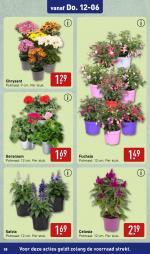 Aldi reclame folder week 24 pagina.38 
