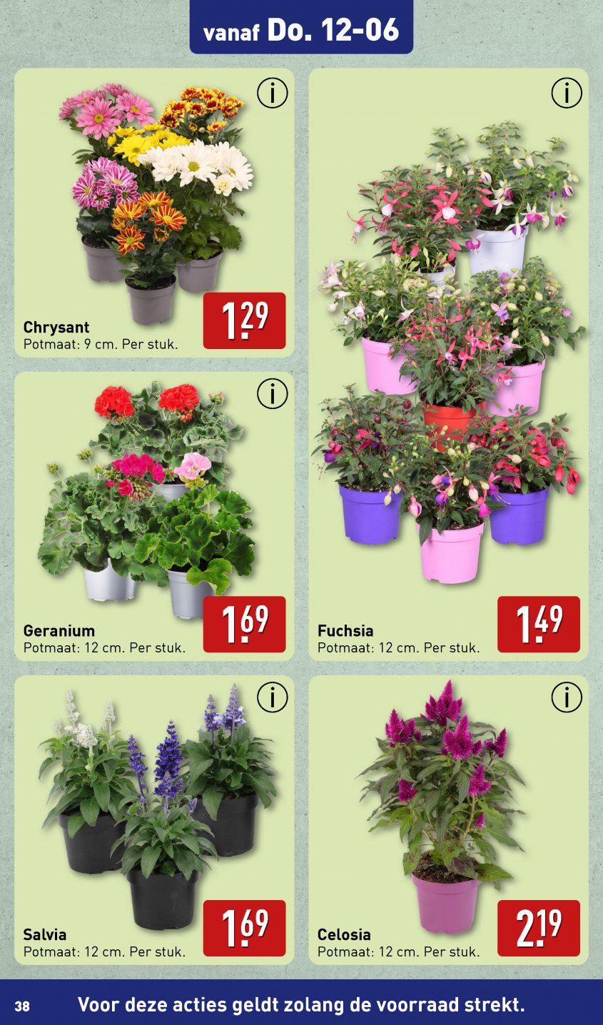 Aldi Aanbiedingen van 10-06-2025 pagina.38