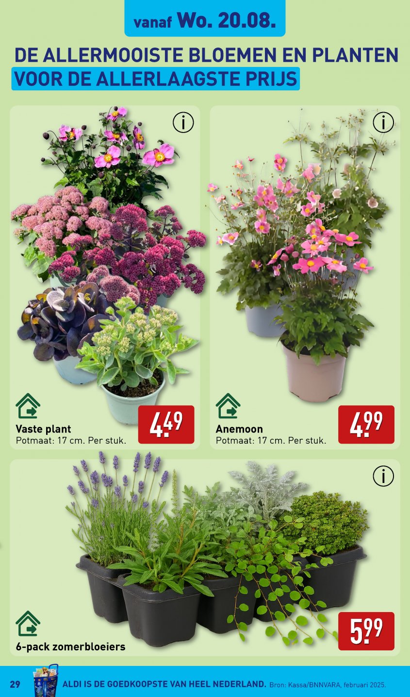 Aldi Aanbiedingen van 18-08-2025 pagina.29