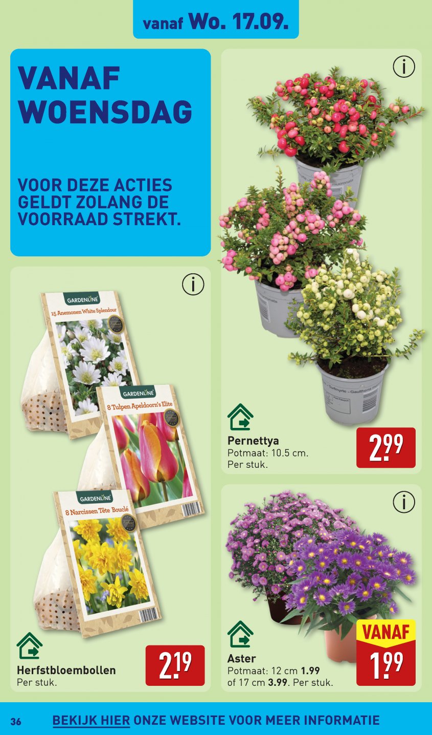 Aldi Aanbiedingen van 15-09-2025 pagina.36