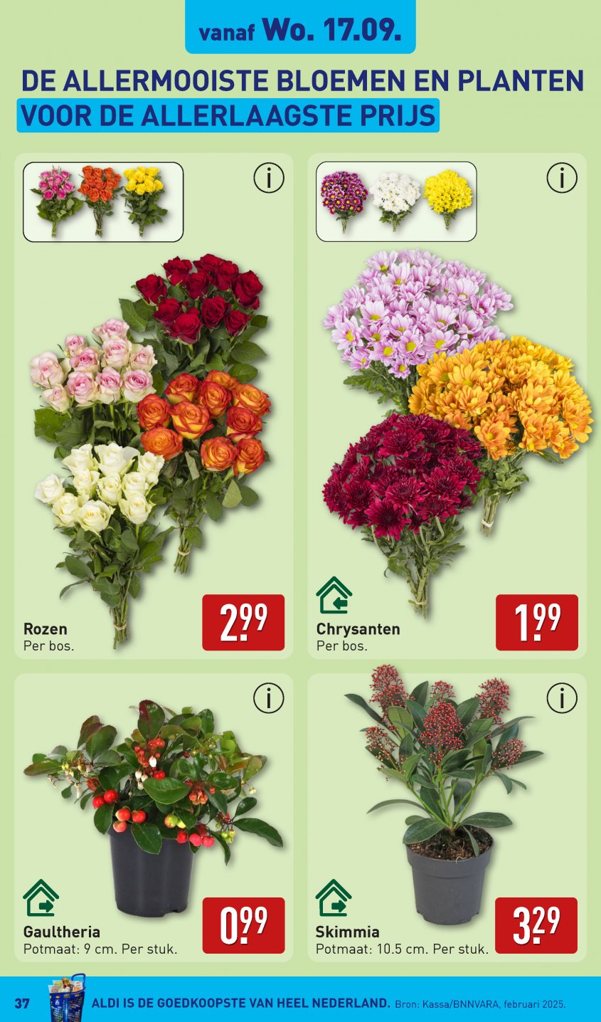 Aldi Aanbiedingen van 15-09-2025 pagina.37