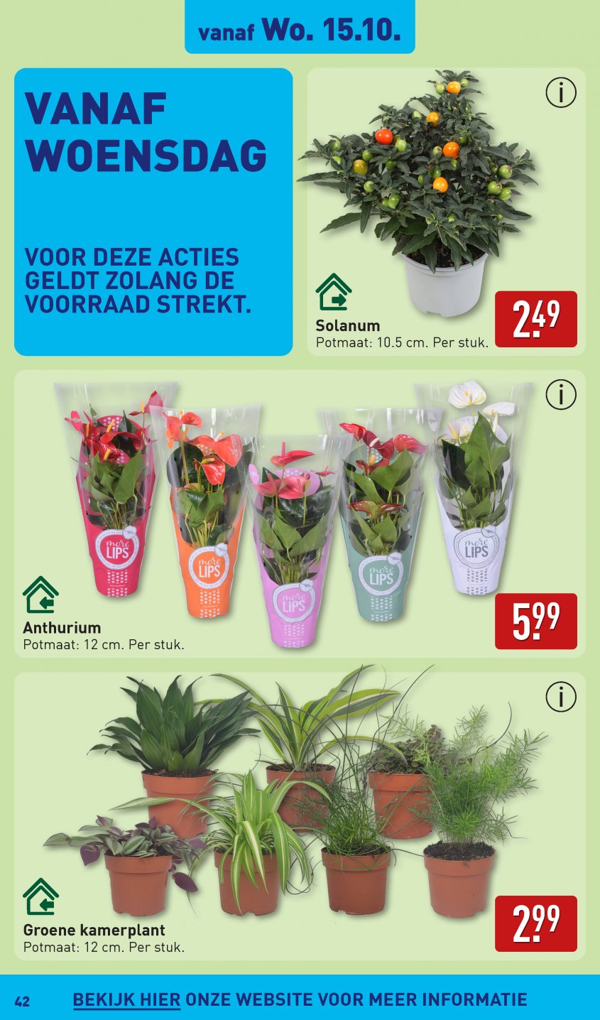 Aldi Aanbiedingen van 13-10-2025 pagina.42