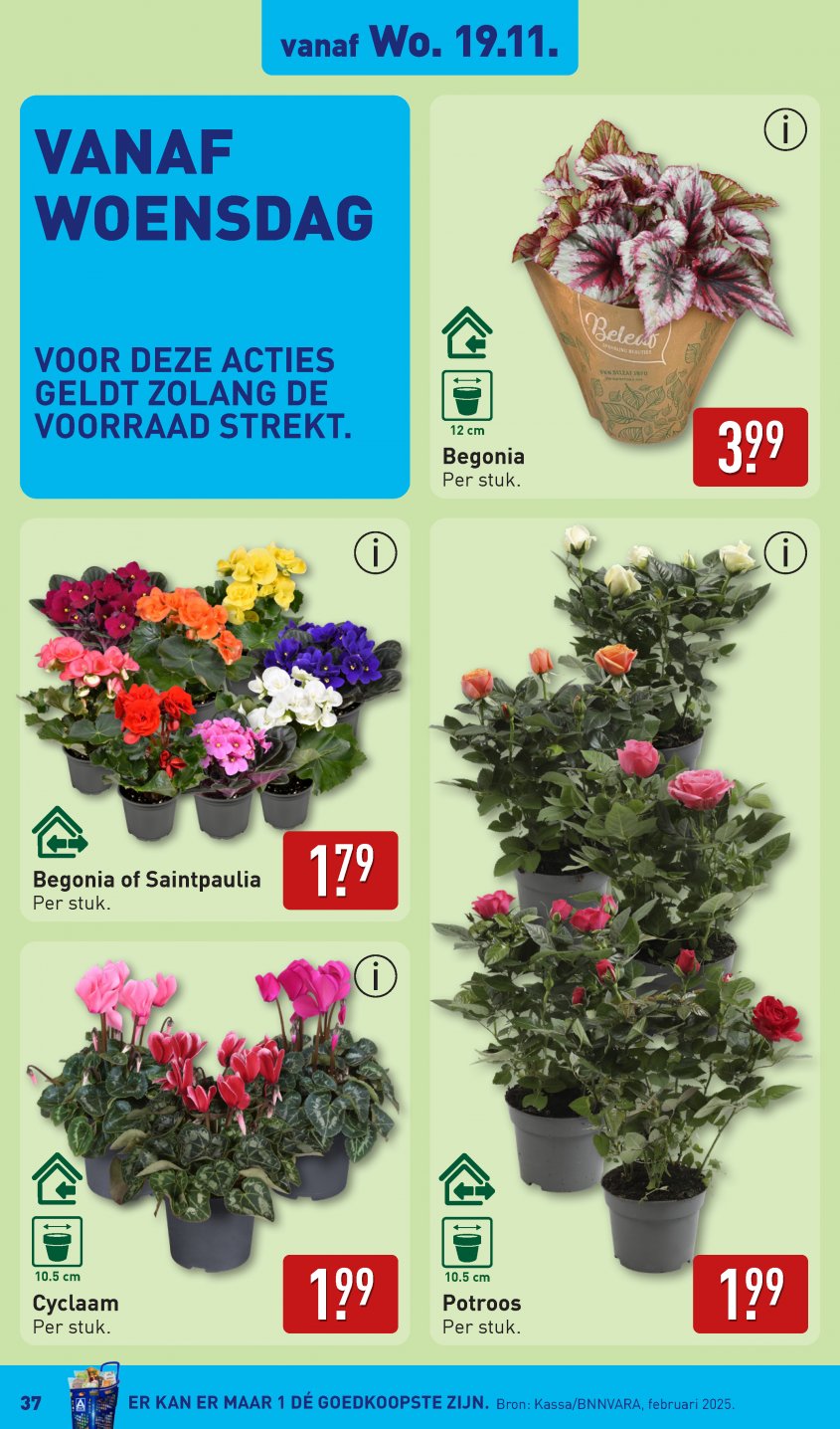 Aldi Aanbiedingen van 17-11-2025 pagina.37
