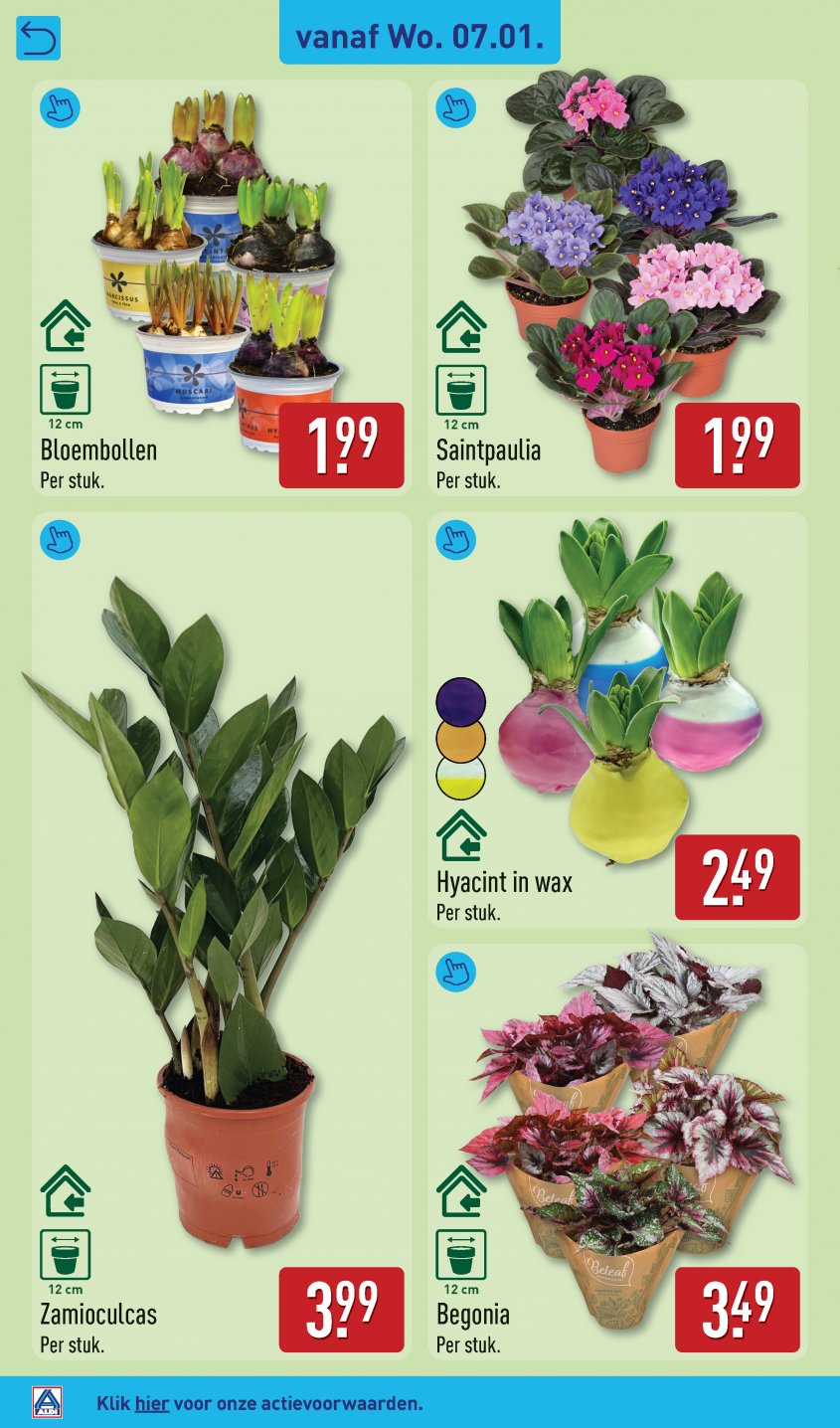 Aldi Aanbiedingen van 05-01-2026 pagina.32