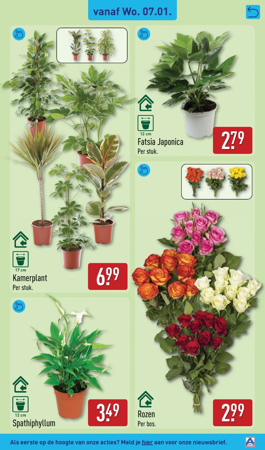 Aldi Aanbiedingen van 05-01-2026 pagina.33