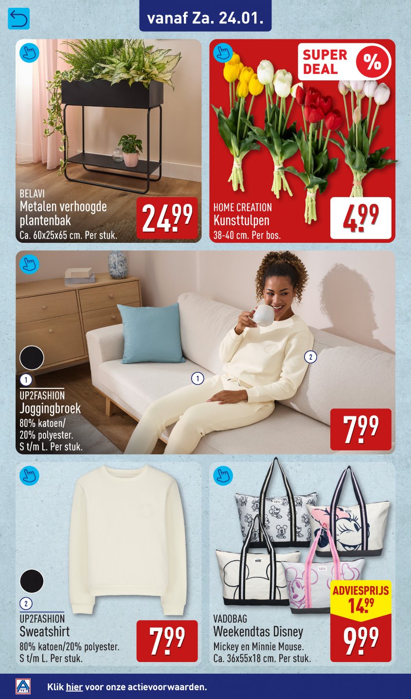 Aldi Aanbiedingen van 19-01-2026 pagina.42