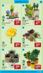 Aldi reclame folder week 04, pagina.27