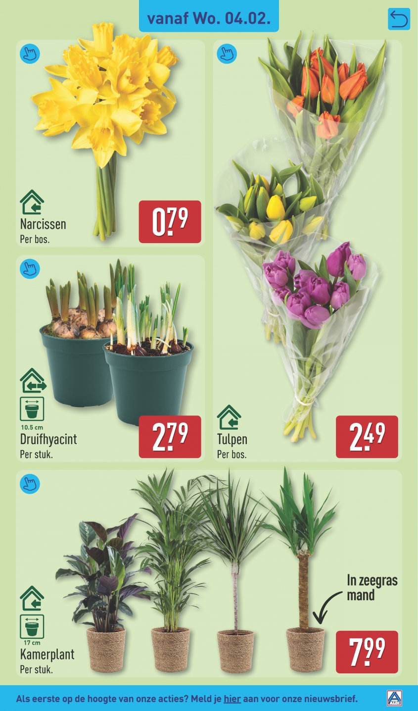 Aldi Aanbiedingen van 02-02-2026 pagina.31