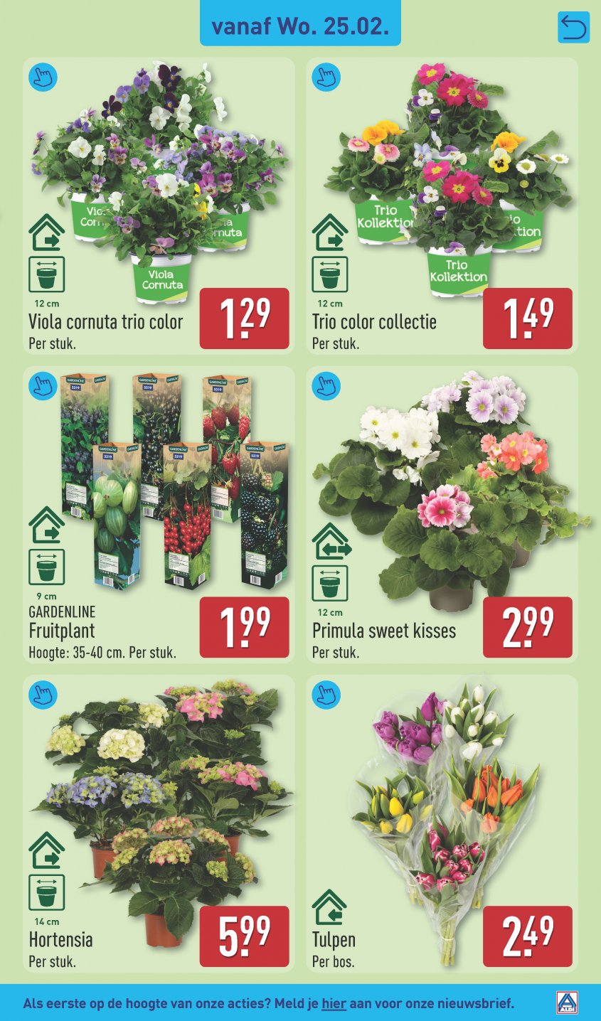 Aldi Aanbiedingen van 23-02-2026 pagina.29