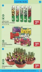 Aldi reclame folder week 10, pagina.31