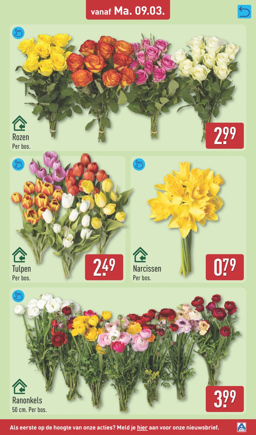Aldi Aanbiedingen van 09-03-2026 pagina.37