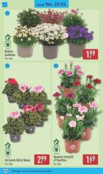 Aldi reclame folder week 13, pagina.40