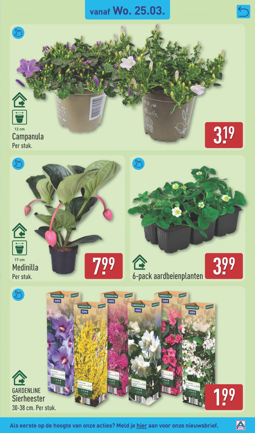 Aldi Aanbiedingen van 23-03-2026 pagina.41