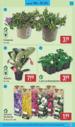 Aldi reclame folder week 13, pagina.41