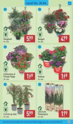 Aldi reclame folder week 18, pagina.39