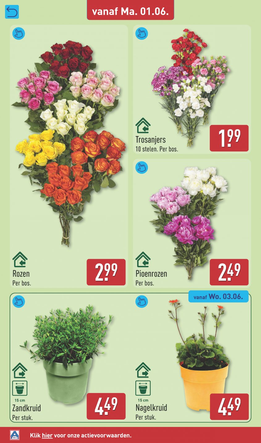 Aldi Aanbiedingen van 01-06-2026 pagina.36