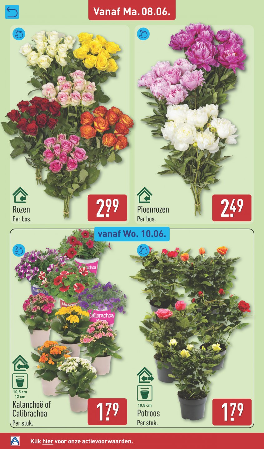 Aldi Aanbiedingen van 08-06-2026 pagina.30