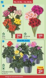 Aldi reclame folder week 26, pagina.38