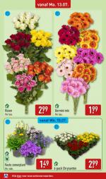 Aldi reclame folder week 29, pagina.42