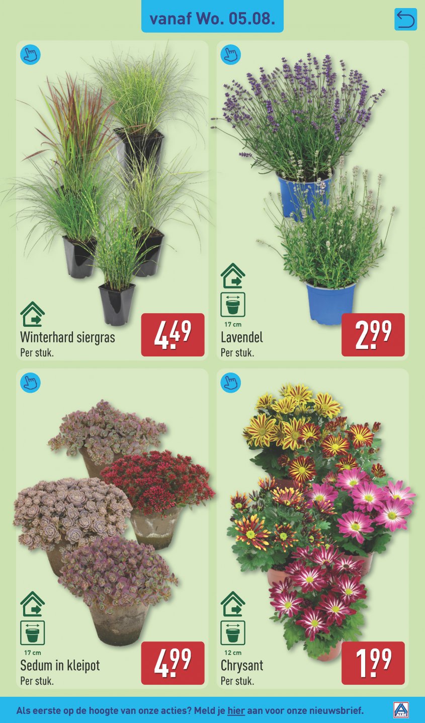Aldi Aanbiedingen van 03-08-2026 pagina.31