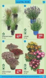 Aldi reclame folder week 32, pagina.31