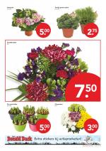 Deen reclame folder week 09 pagina.16 