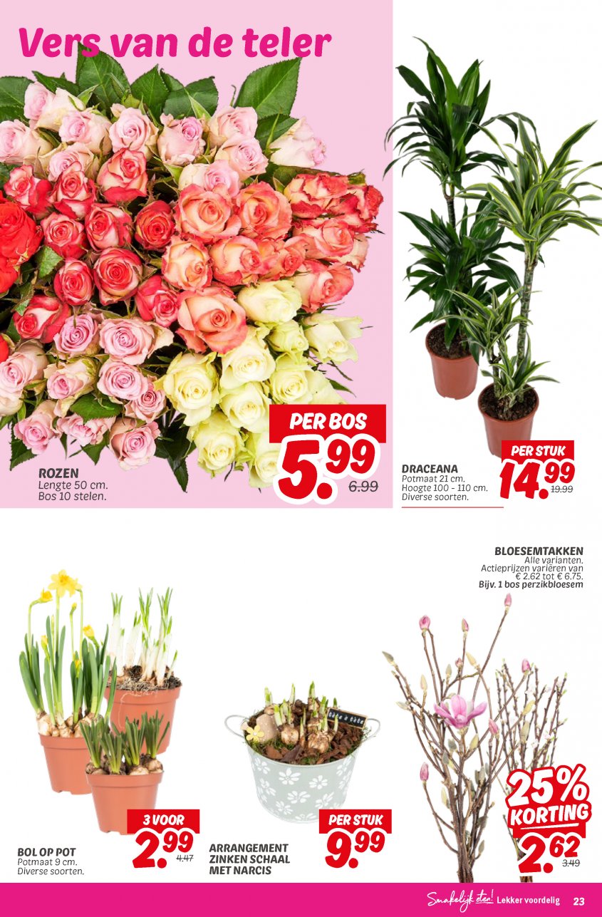 DekaMarkt Aanbiedingen van 18-02-2025 pagina.23