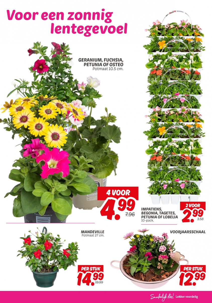 DekaMarkt Aanbiedingen van 22-04-2025 pagina.21
