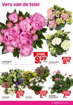 DekaMarkt reclame folder week 23 pagina.21 