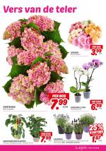 DekaMarkt reclame folder week 24, pagina.27