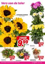 DekaMarkt reclame folder week 25 pagina.23 