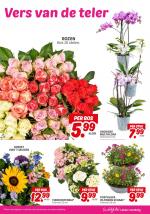 DekaMarkt reclame folder week 26, pagina.25