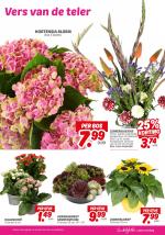 DekaMarkt reclame folder week 27 pagina.25 