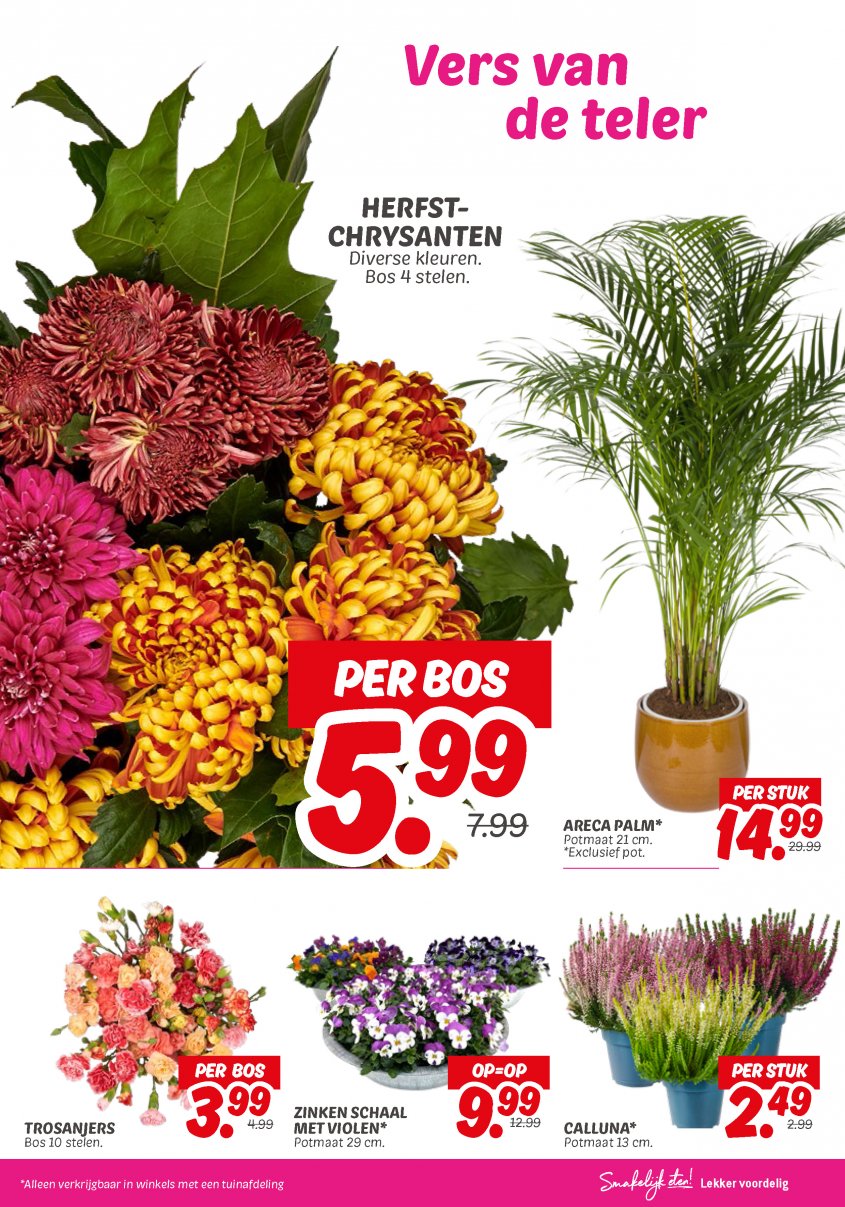 DekaMarkt Aanbiedingen van 09-09-2025 pagina.23