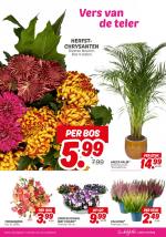 DekaMarkt reclame folder week 37, pagina.23