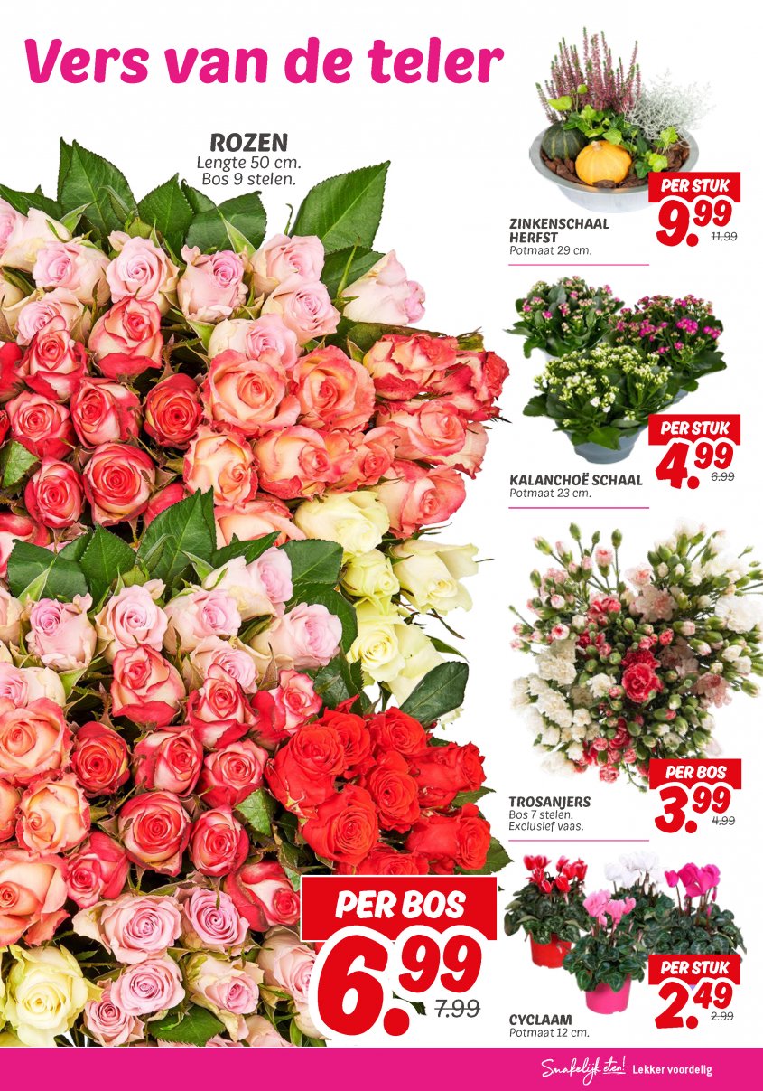 DekaMarkt Aanbiedingen van 14-10-2025 pagina.19