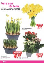 DekaMarkt reclame folder week 05, pagina.27