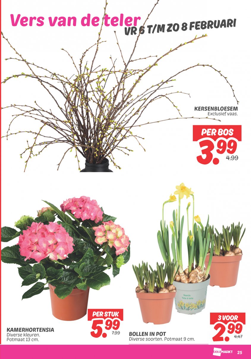 DekaMarkt Aanbiedingen van 03-02-2026 pagina.27