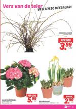 DekaMarkt reclame folder week 06, pagina.27