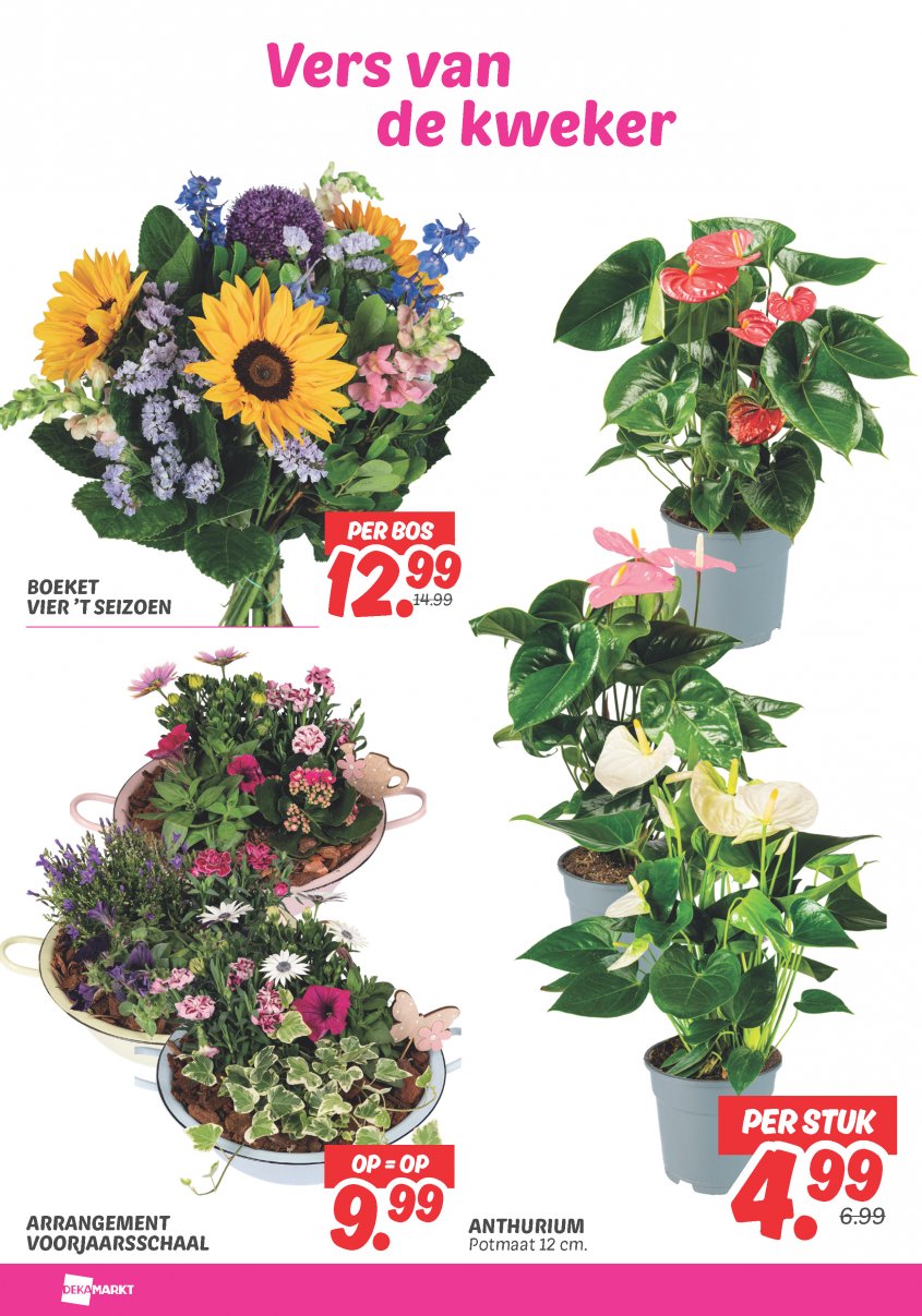 DekaMarkt Aanbiedingen van 14-04-2026 pagina.26