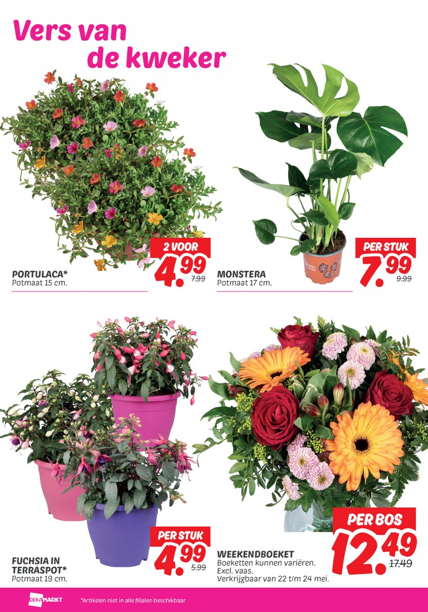 DekaMarkt Aanbiedingen van 19-05-2026 pagina.24
