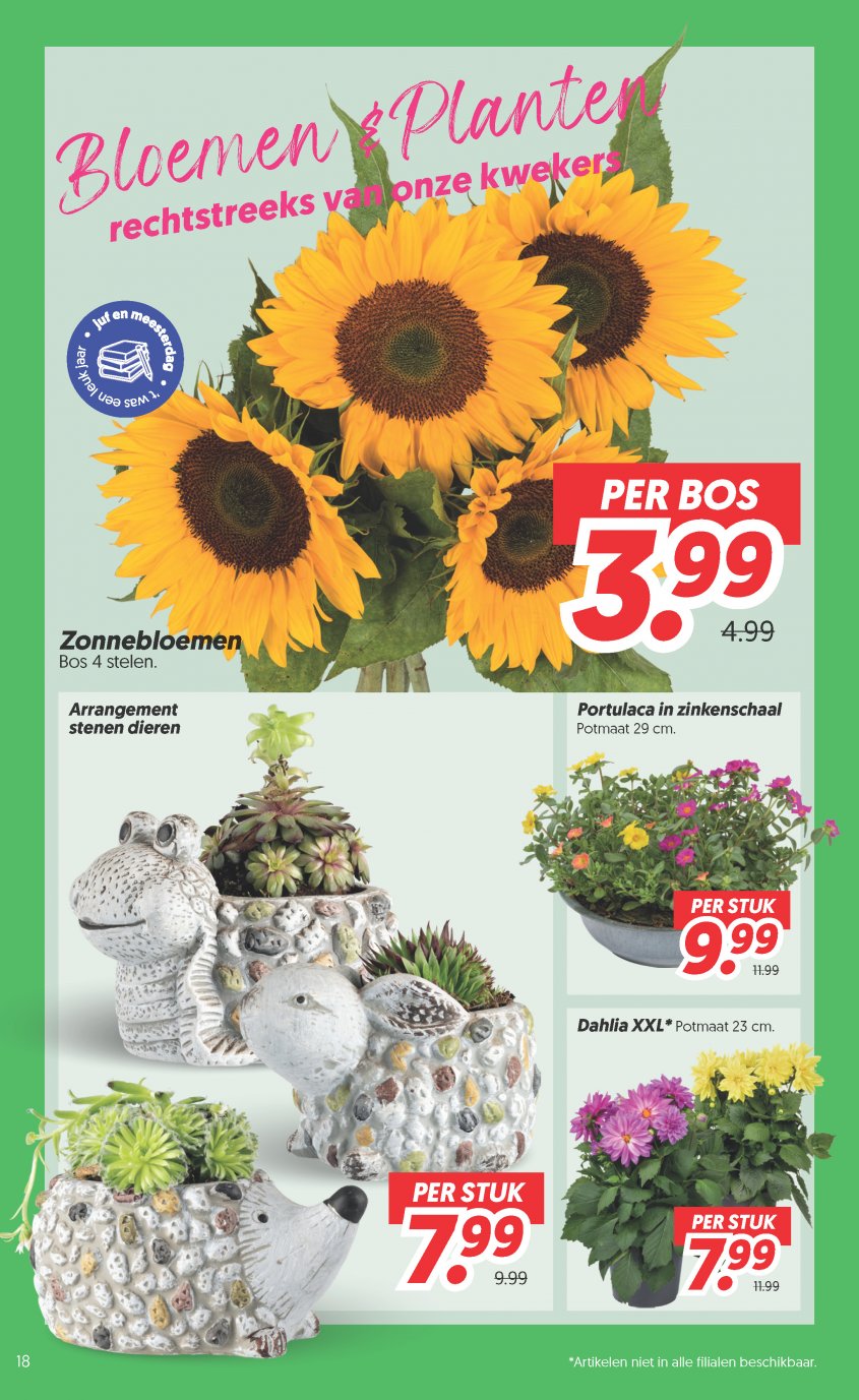 DekaMarkt Aanbiedingen van 23-06-2026 pagina.18