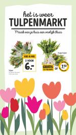 Jumbo reclame folder week 03, pagina.17