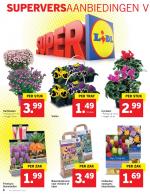 Lidl reclame folder week 36 pagina.6 