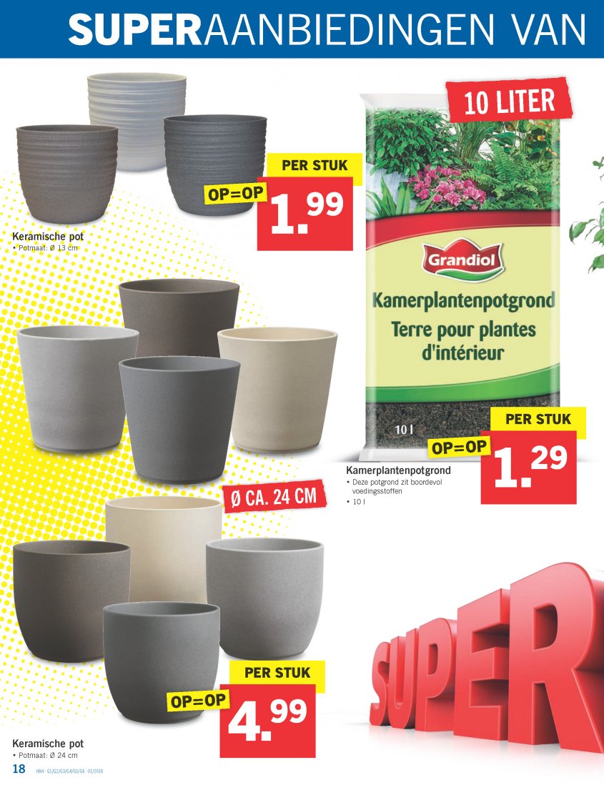 Lidl Aanbiedingen van 02-01-2018 pagina.18