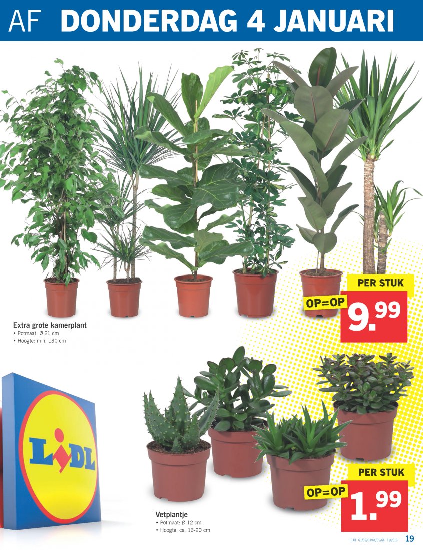 Lidl Aanbiedingen van 02-01-2018 pagina.19