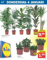 Lidl reclame folder week 01 pagina.19 