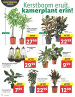 Lidl reclame folder week 02 pagina.12 