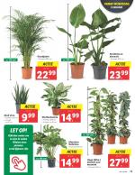 Lidl reclame folder week 02 pagina.13 